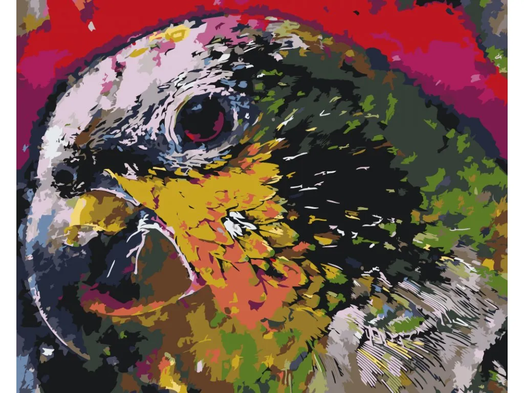 Pintar por Números - La cabeza de un loro