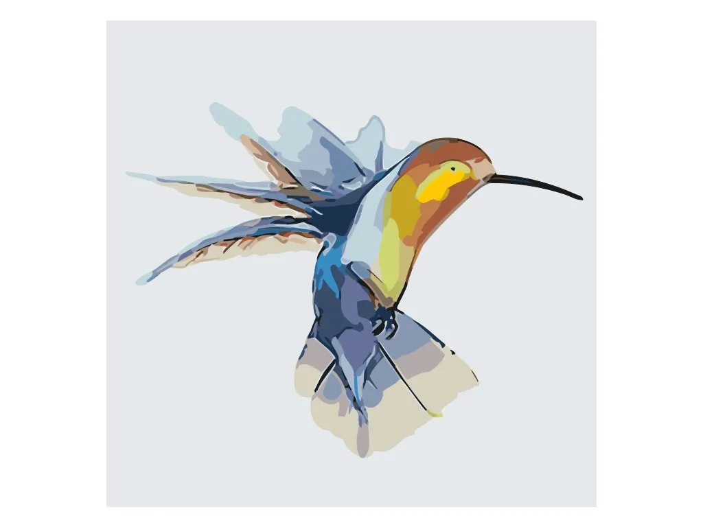 Pintar por Números - Colibrí