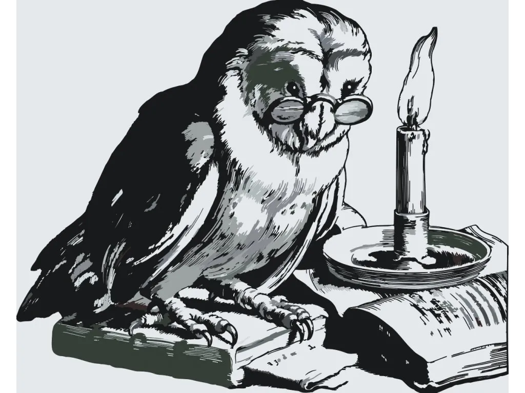 Pintar por Números - Búho amaestrado