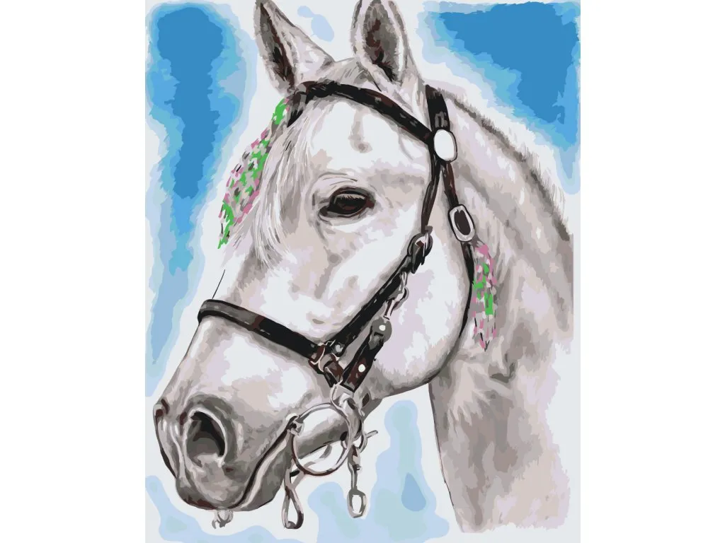 Pintar por Números - Caballo blanco