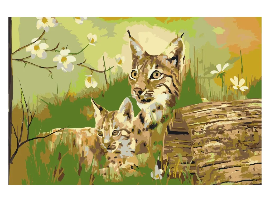 Pintar por Números - Gatos salvajes en libertad