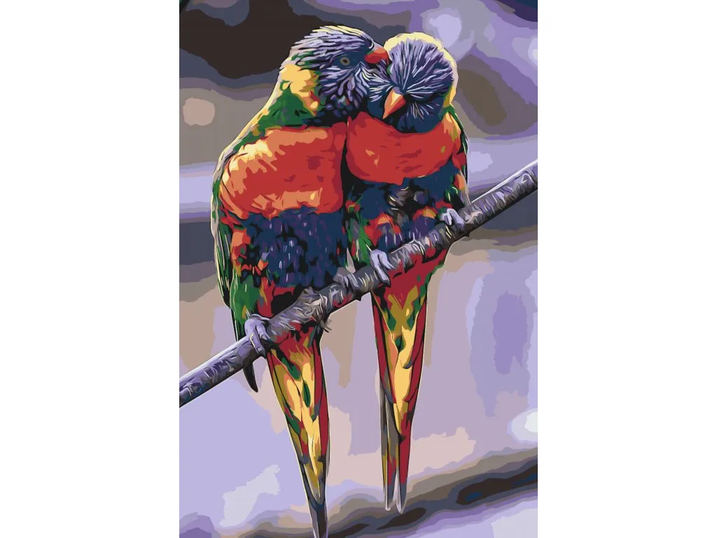 Pintar por Números - Loros arco iris 2