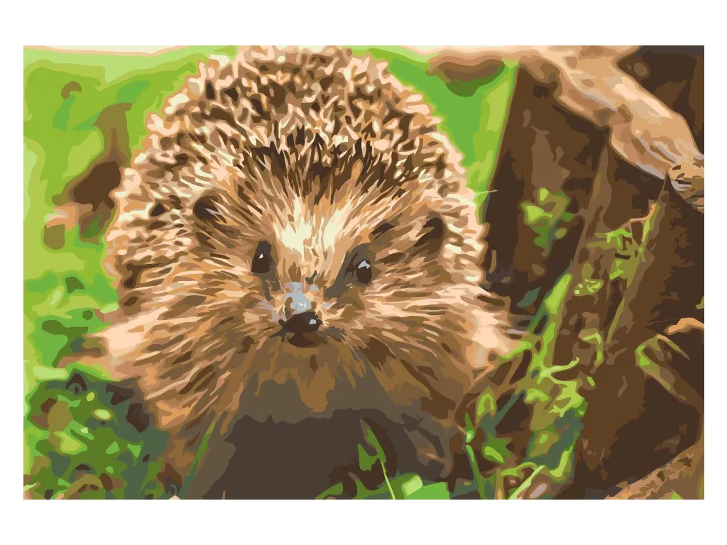 Pintar por Números - Erizo, animal nocturno