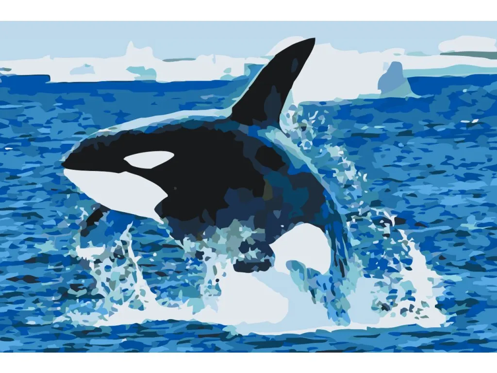 Pintar por Números - El salto de la orca