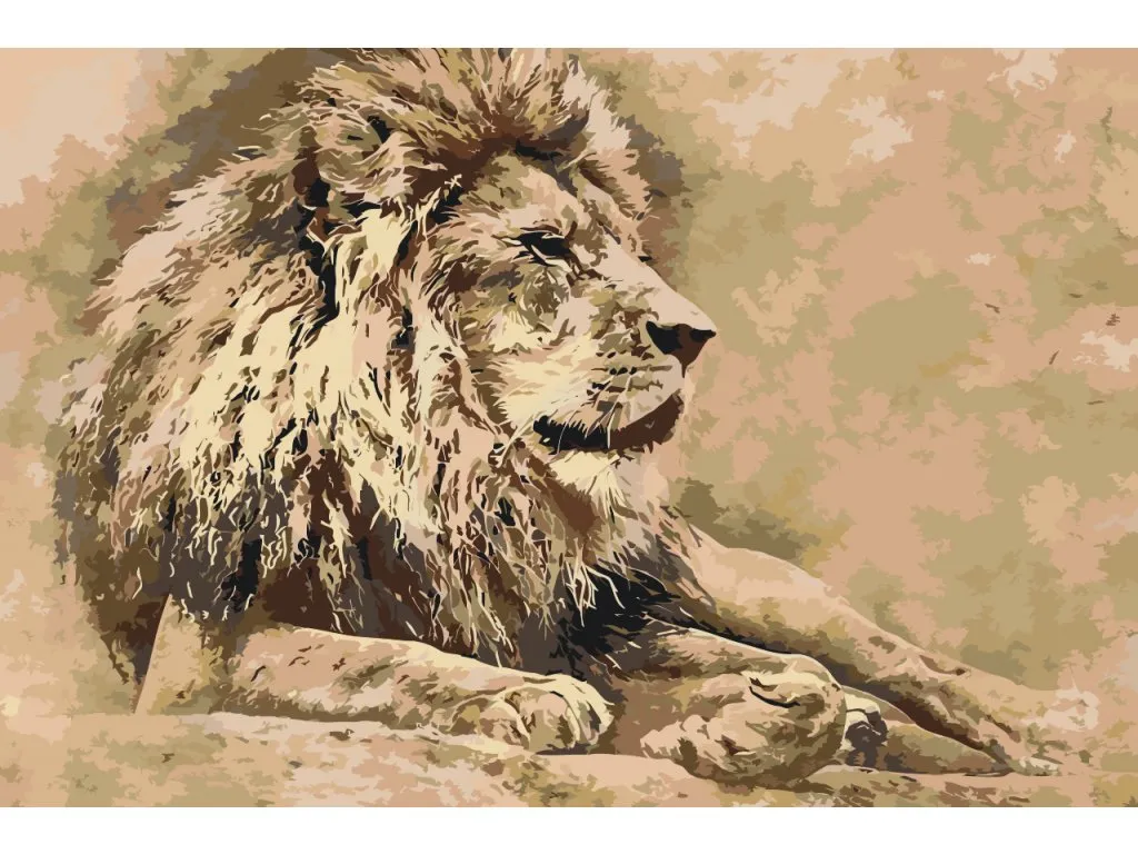 Pintar por Números - León 2