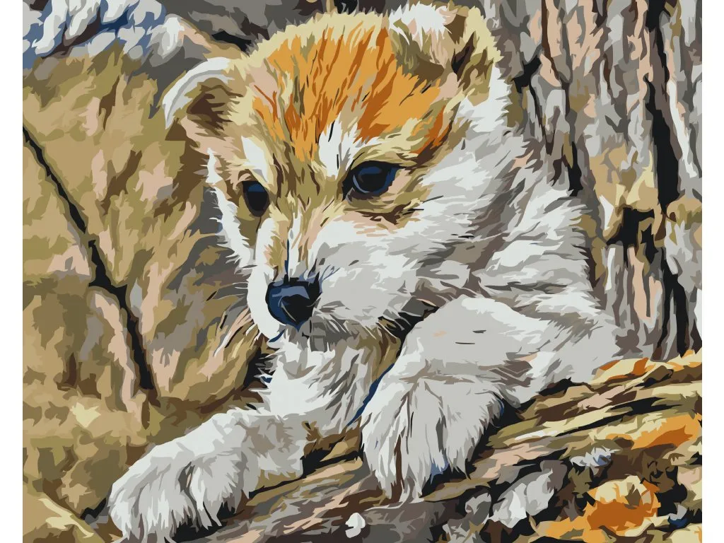 Pintar por Números - Cachorro jugando en el bosque