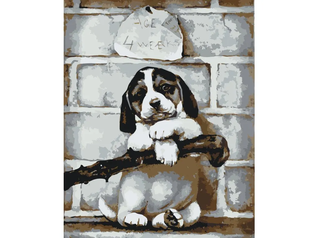 Pintar por Números - cachorro de 4 semanas
