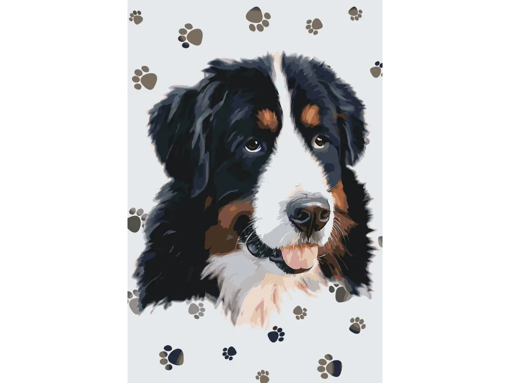 Pintar por Números - Perro con las patas redondas