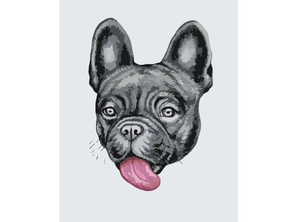 Pintar por Números - Bulldog con lengua de fuera