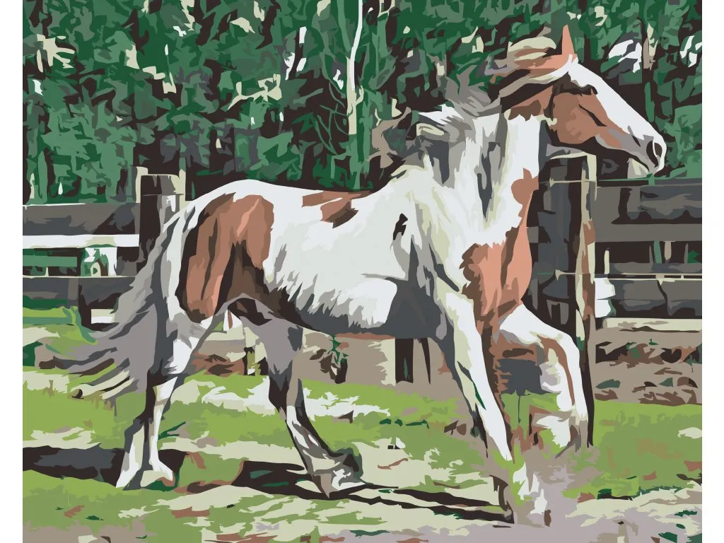 Pintar por Números - Caballo en el corral