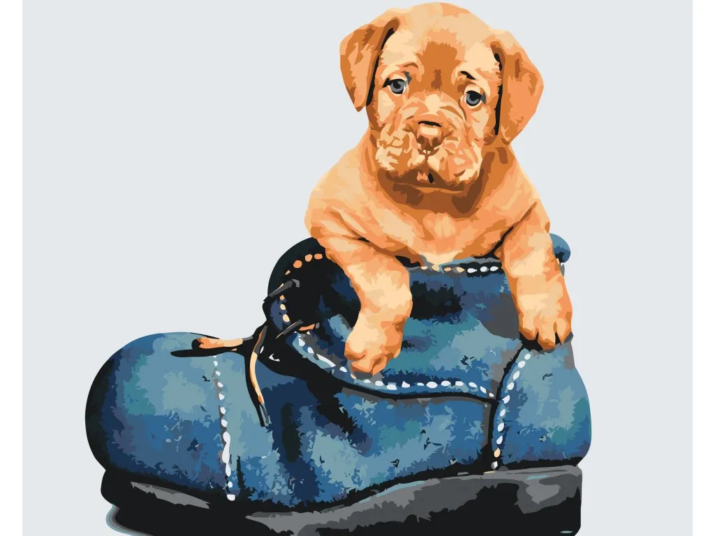 Pintar por Números - Cachorro en el zapato