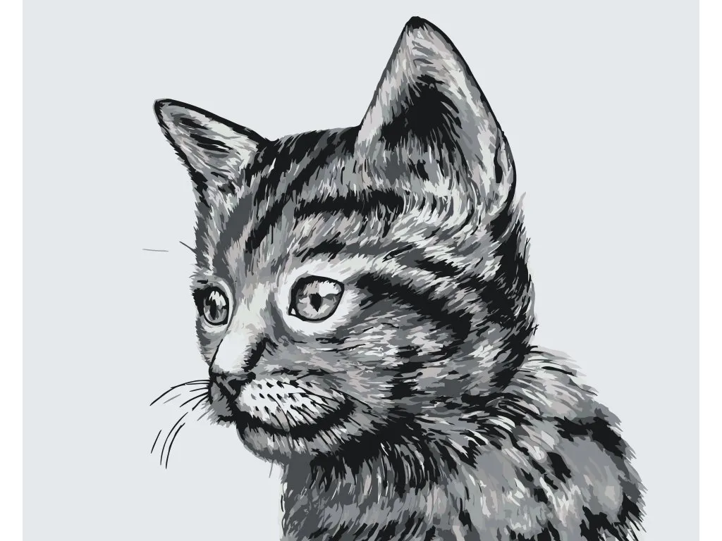 Pintar por Números - Lindo gatito blanco y negro