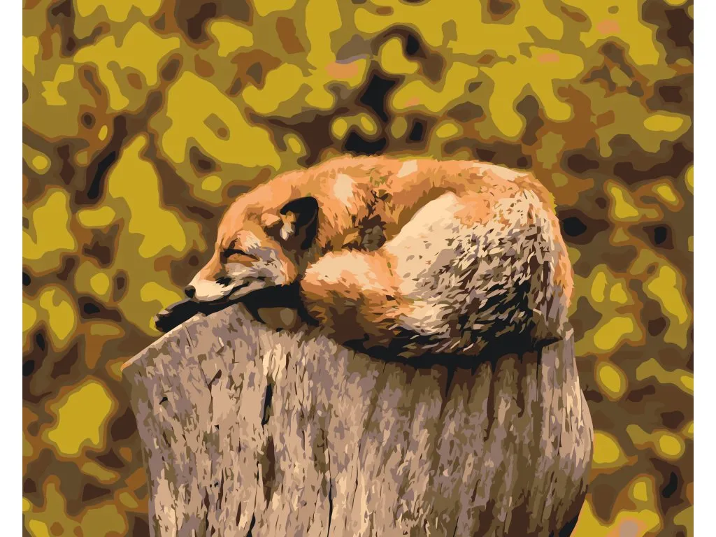 Pintar por Números - Zorro descansando en el tronco de un árbol