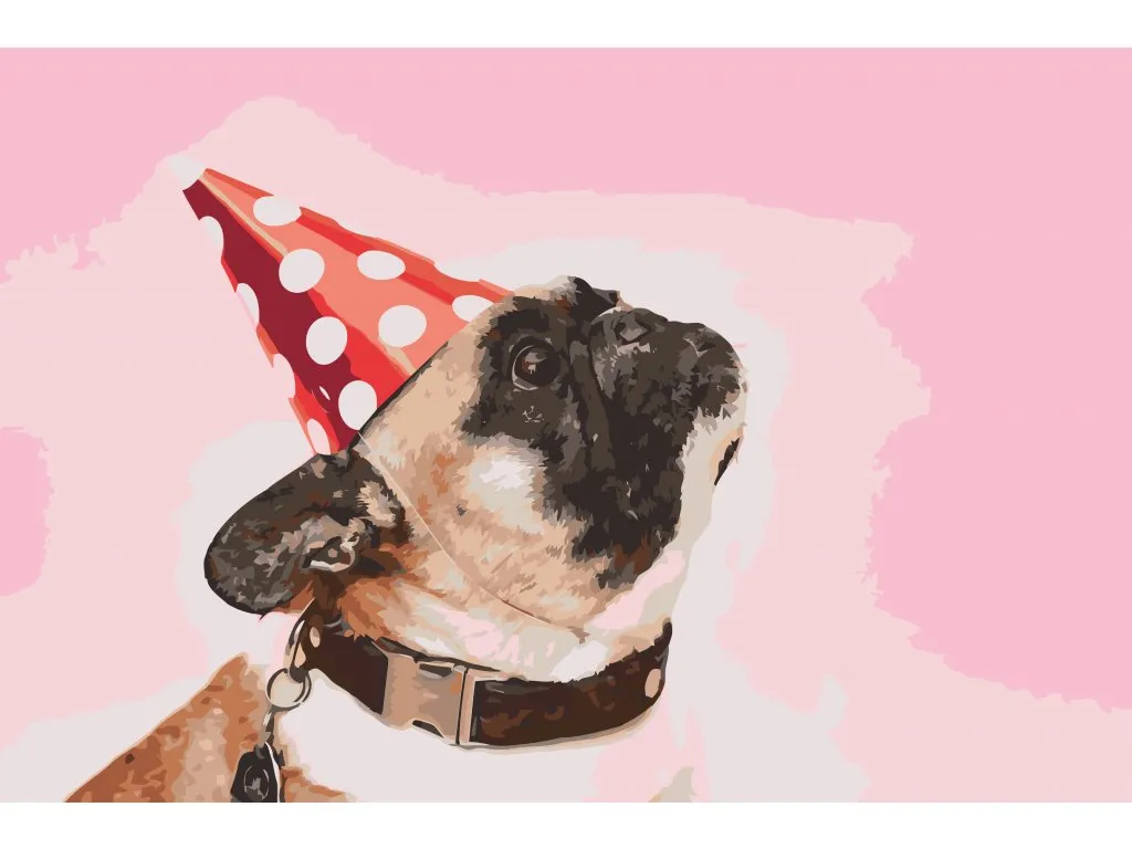 Pintar por Números - Pug en la fiesta