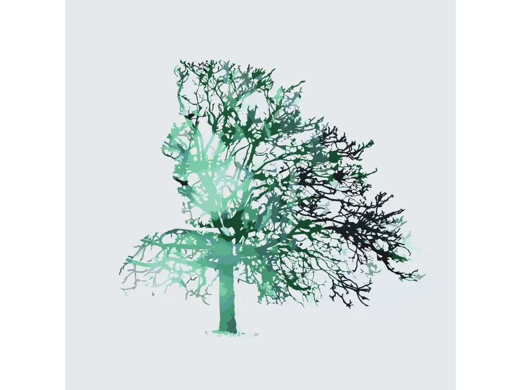 Pintar por Números - Mujer árbol
