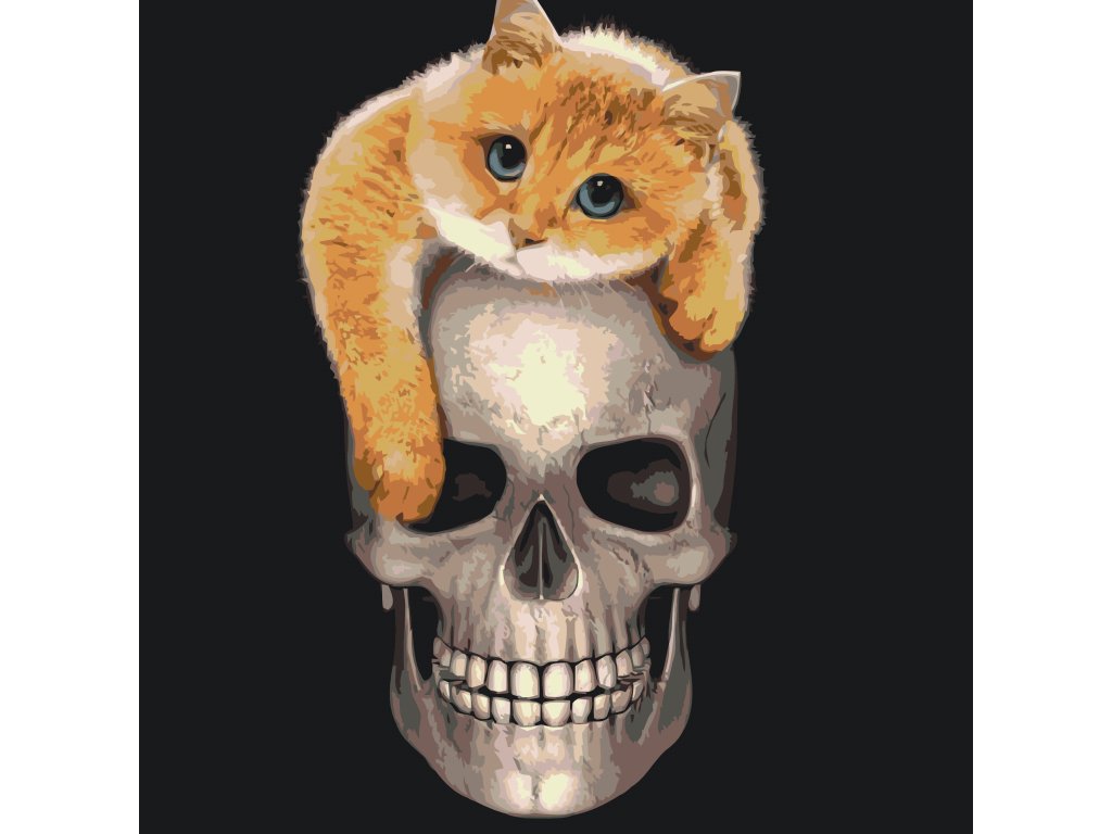 Pintar por Números - Gato sobre calavera