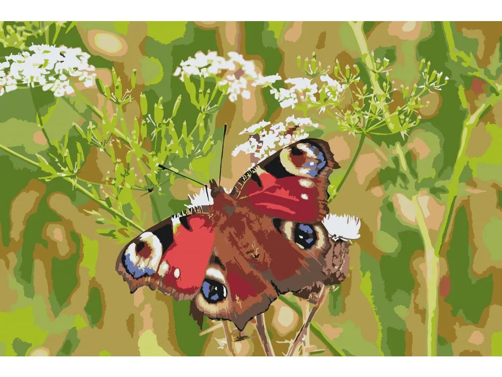 Pintar por Números - Mariposa en la hierba