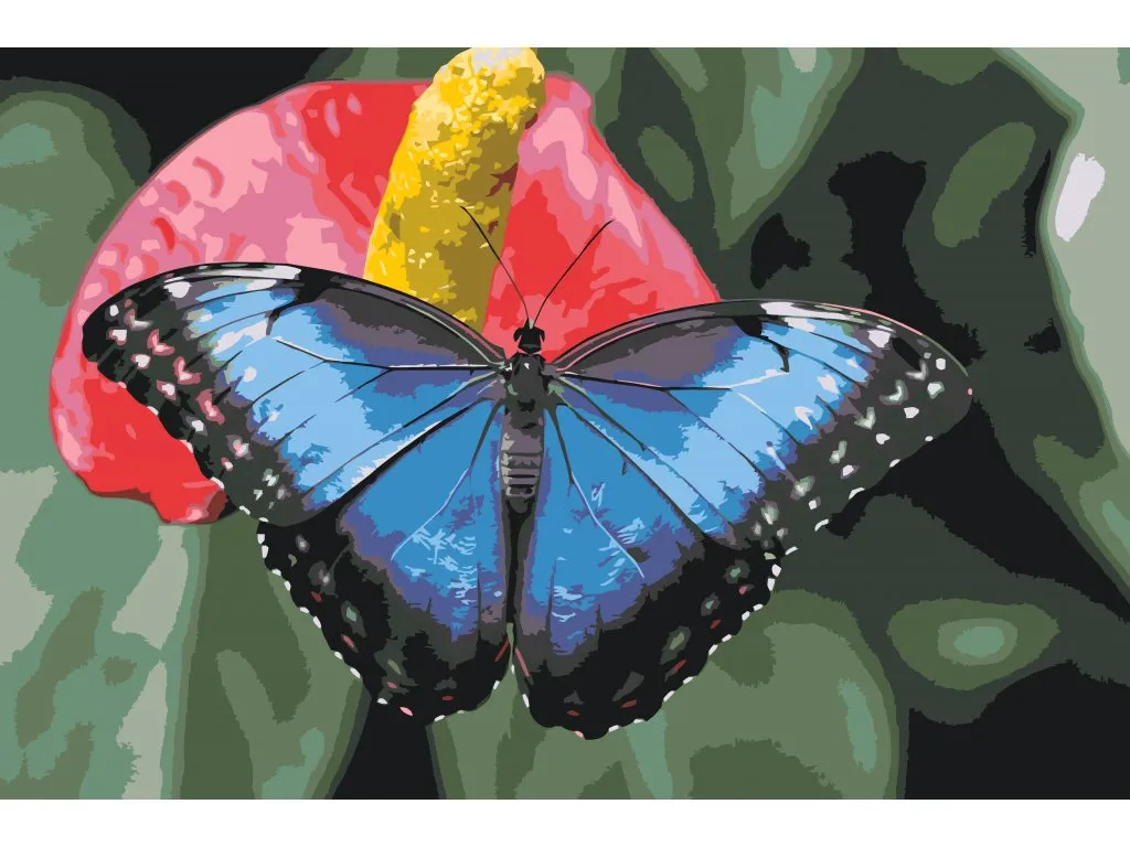 Pintar por Números - Mariposa sobre flor roja