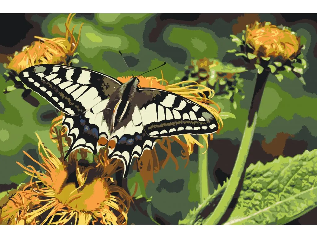 Pintar por Números - Mariposa sobre diente de león