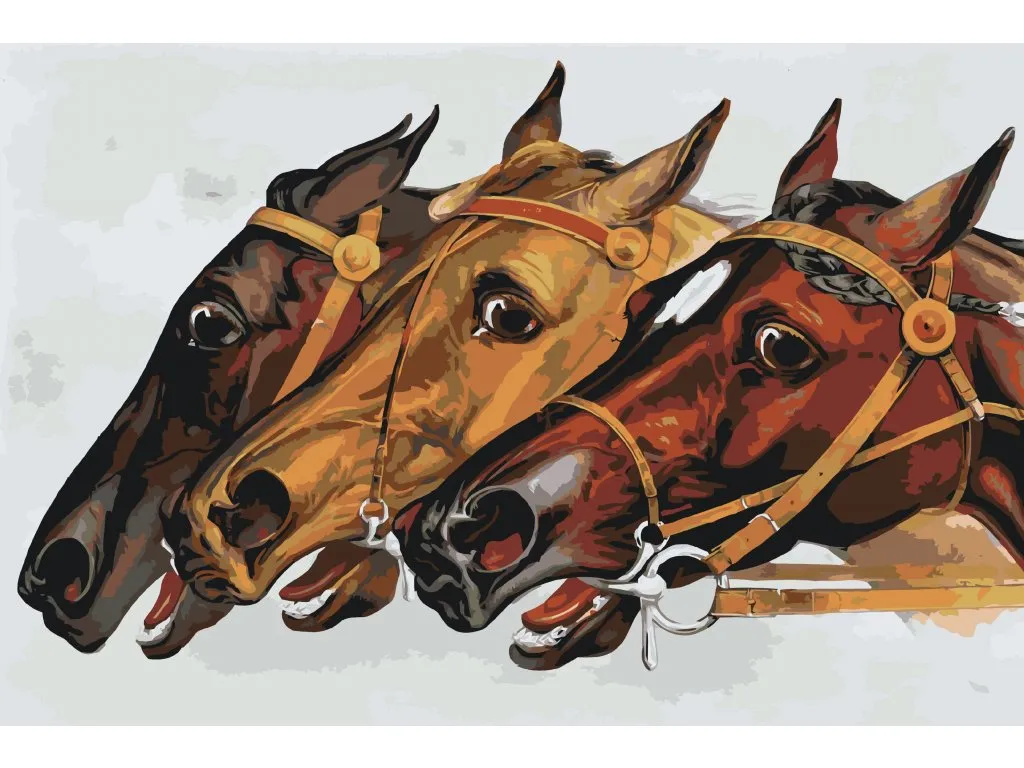 Pintar por Números - Caballos de carreras
