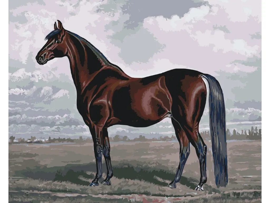 Pintar por Números - El majestuoso caballo