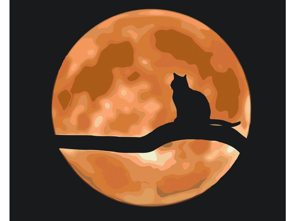 Pintar por Números - Gato en luna llena