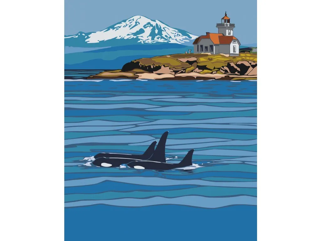 Pintar por Números - Orcas