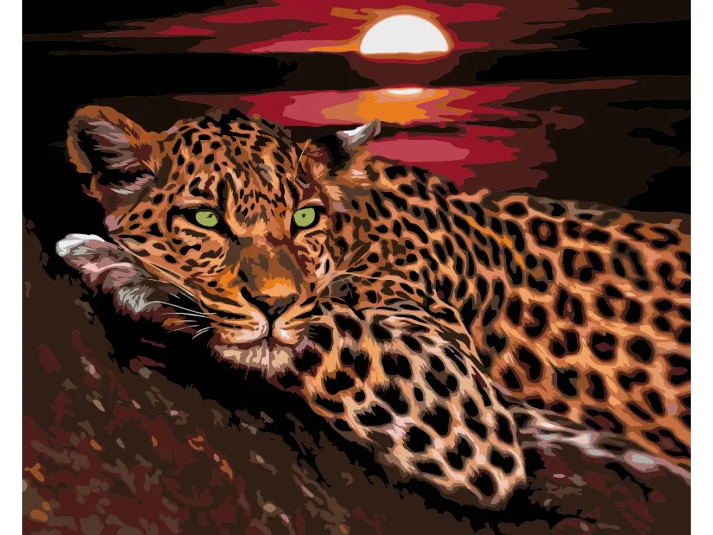 Pintar por Números - Levhart