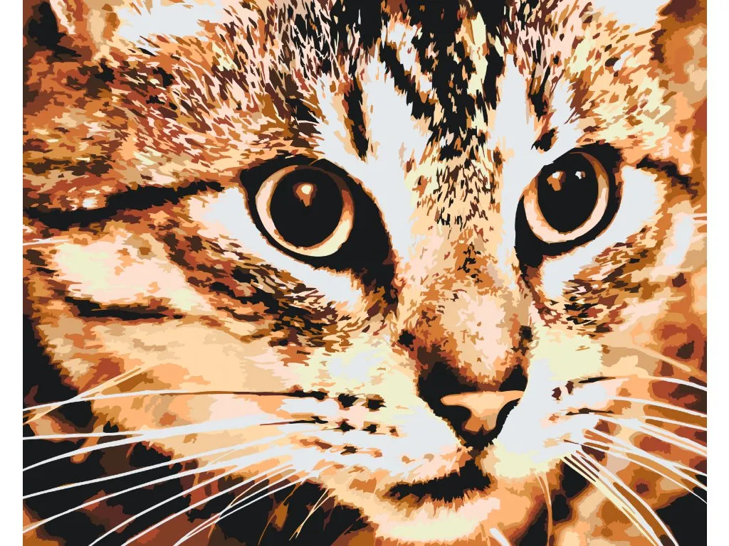 Pintar por Números - Gato tigre