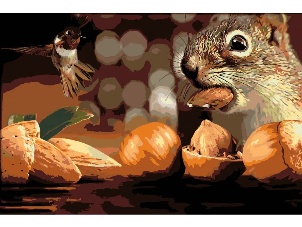 Pintar por Números - Ardilla y pájaro