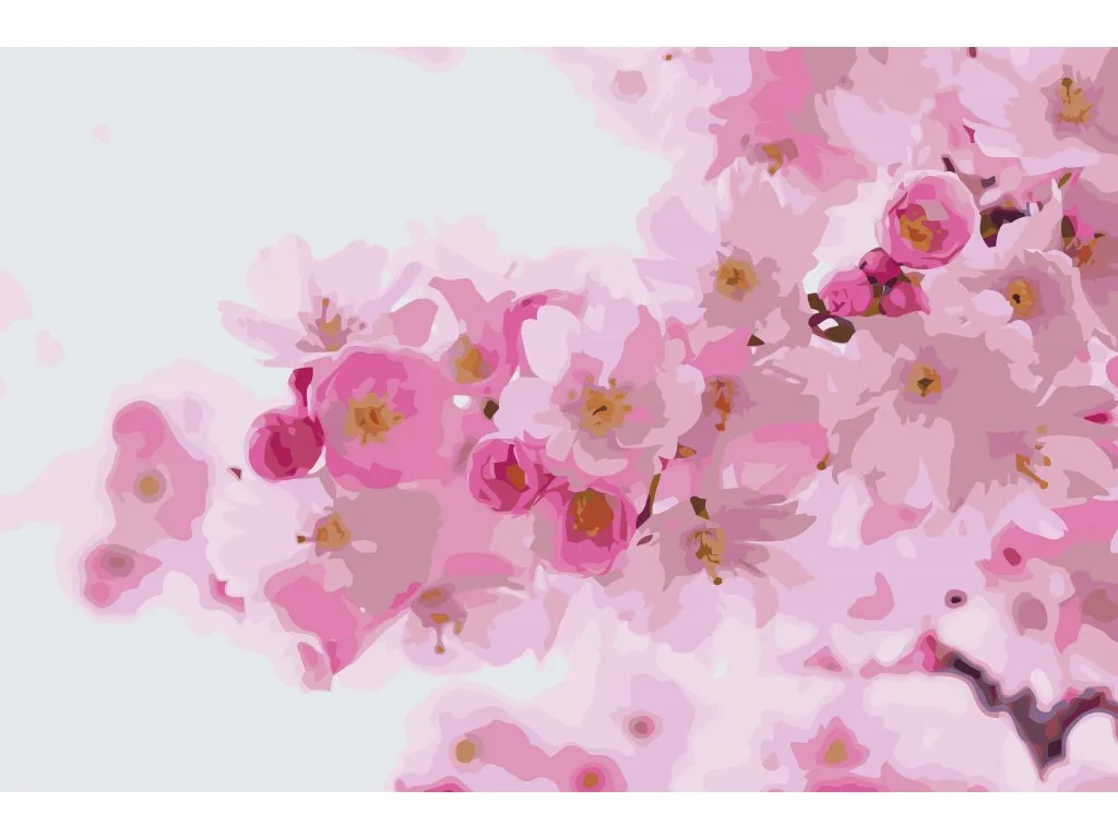 Pintar por Números - Cerezo en flor