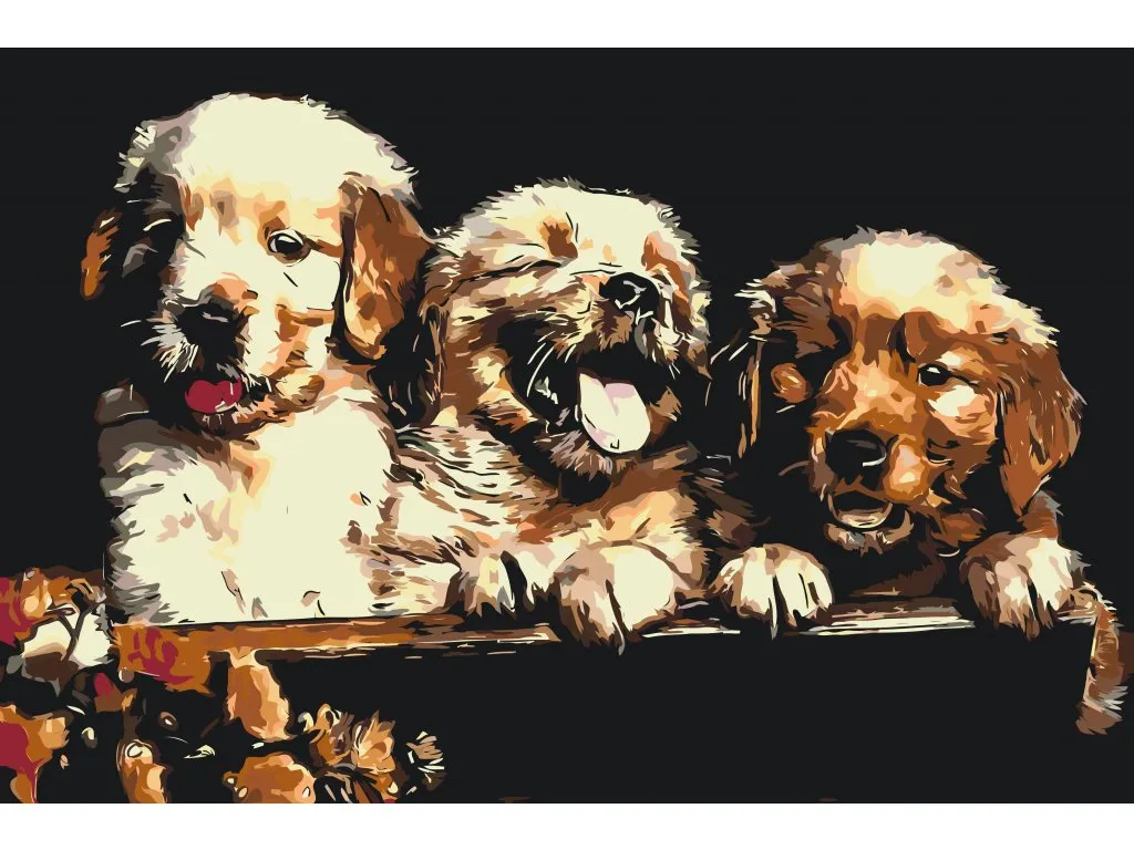 Pintar por Números - Cachorros de Retriever
