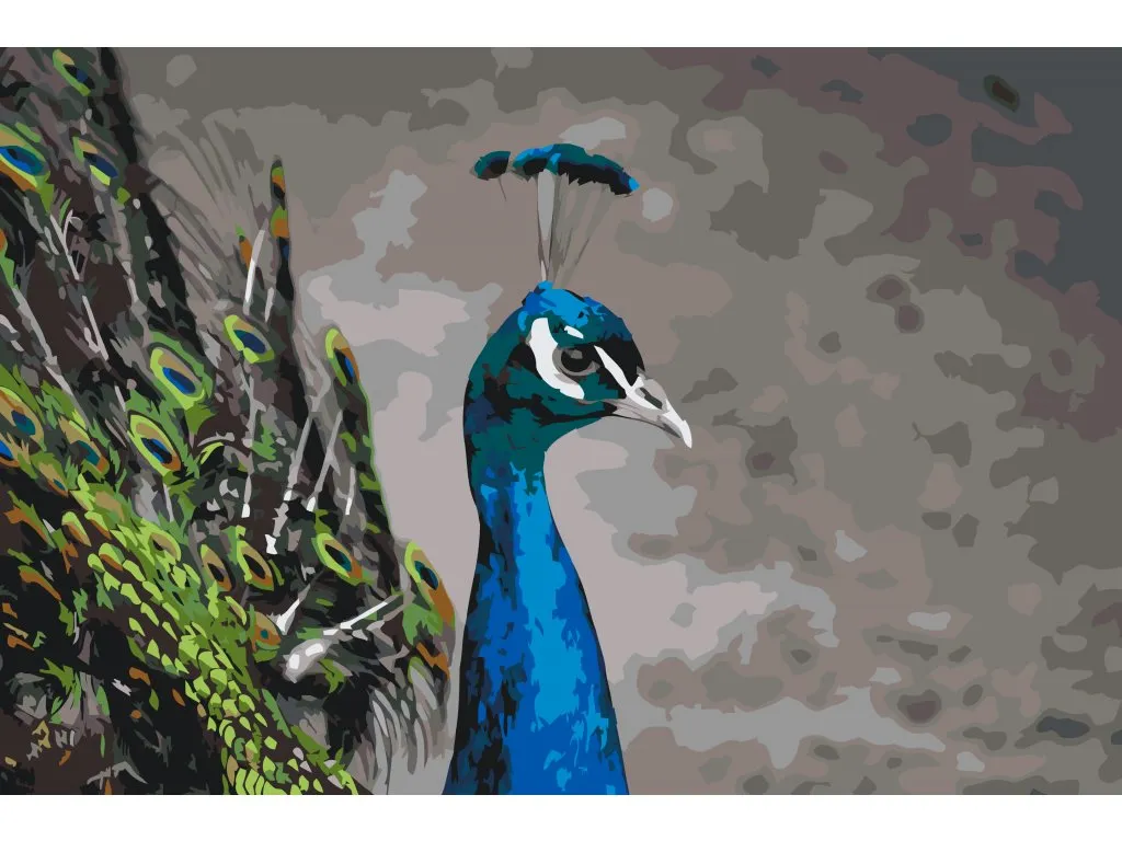 Pintar por Números - El majestuoso pavo real