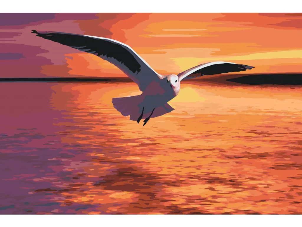 Pintar por Números - Gaviota sobre el mar