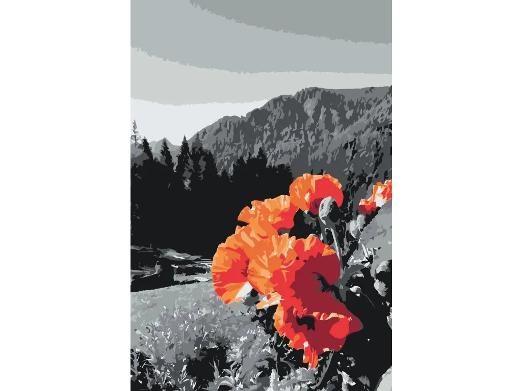 Pintar por Números - Amapolas en las montañas