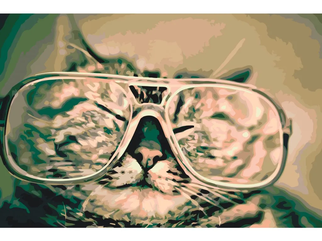 Pintar por Números - Gato con gafas