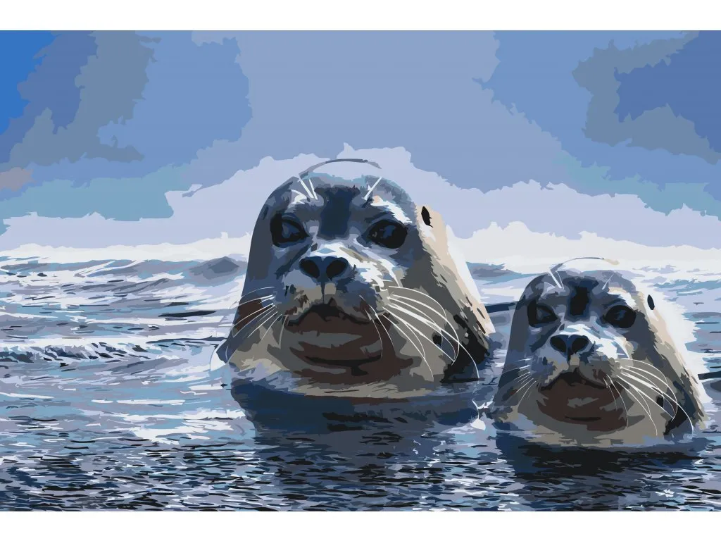 Pintar por Números - Focas a la caza