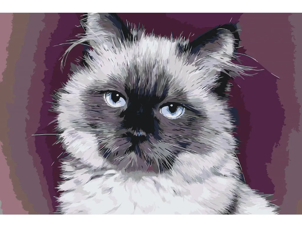 Pintar por Números - Retrato de un gato