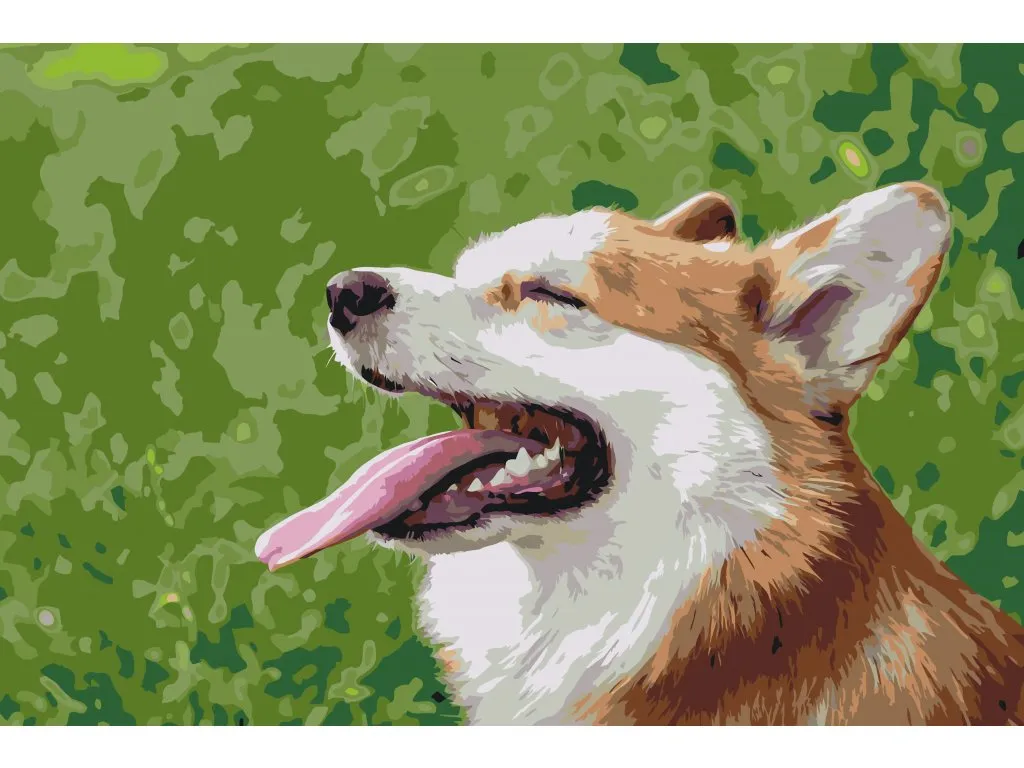 Pintar por Números - Corgi