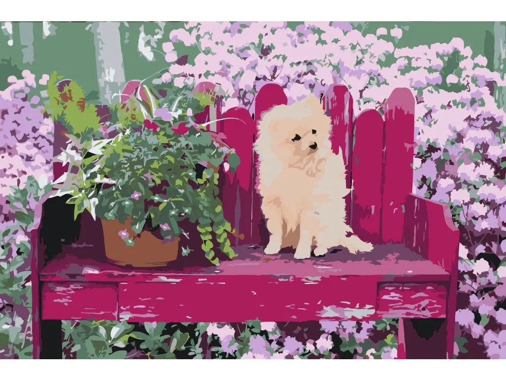 Pintar por Números - Cachorro en el sofá