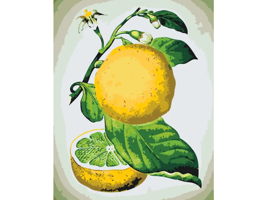 Pintar por Números - Limón fresco