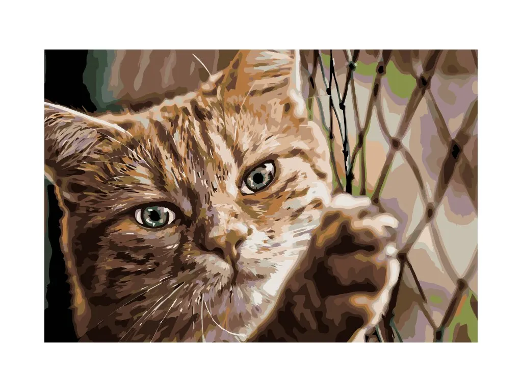 Pintar por Números - Kat op het hek