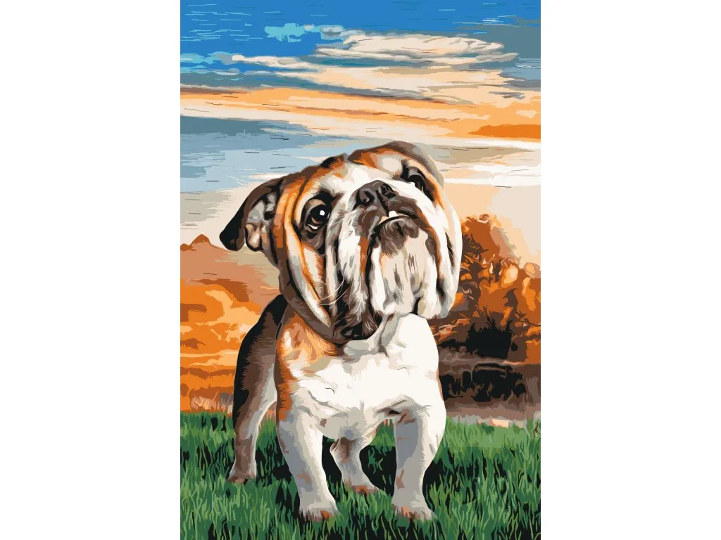 Pintar por Números - Bulldog inglés en el jardín