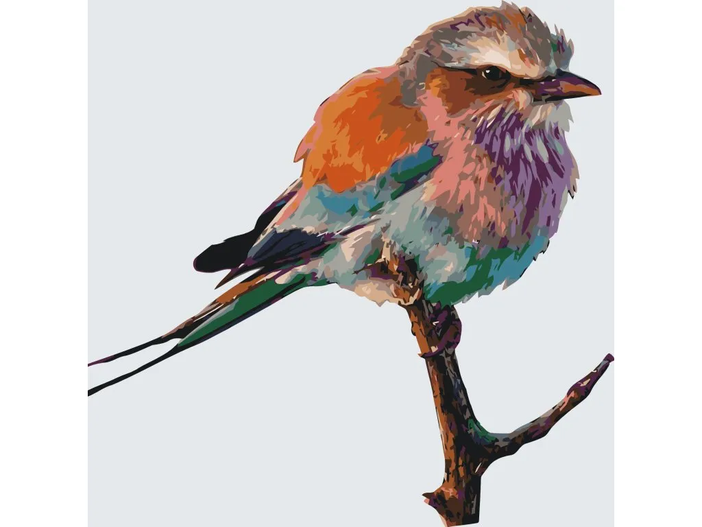 Pintar por Números - Un pájaro en una rama