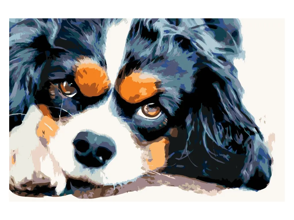 Pintar por Números - Perro pensador