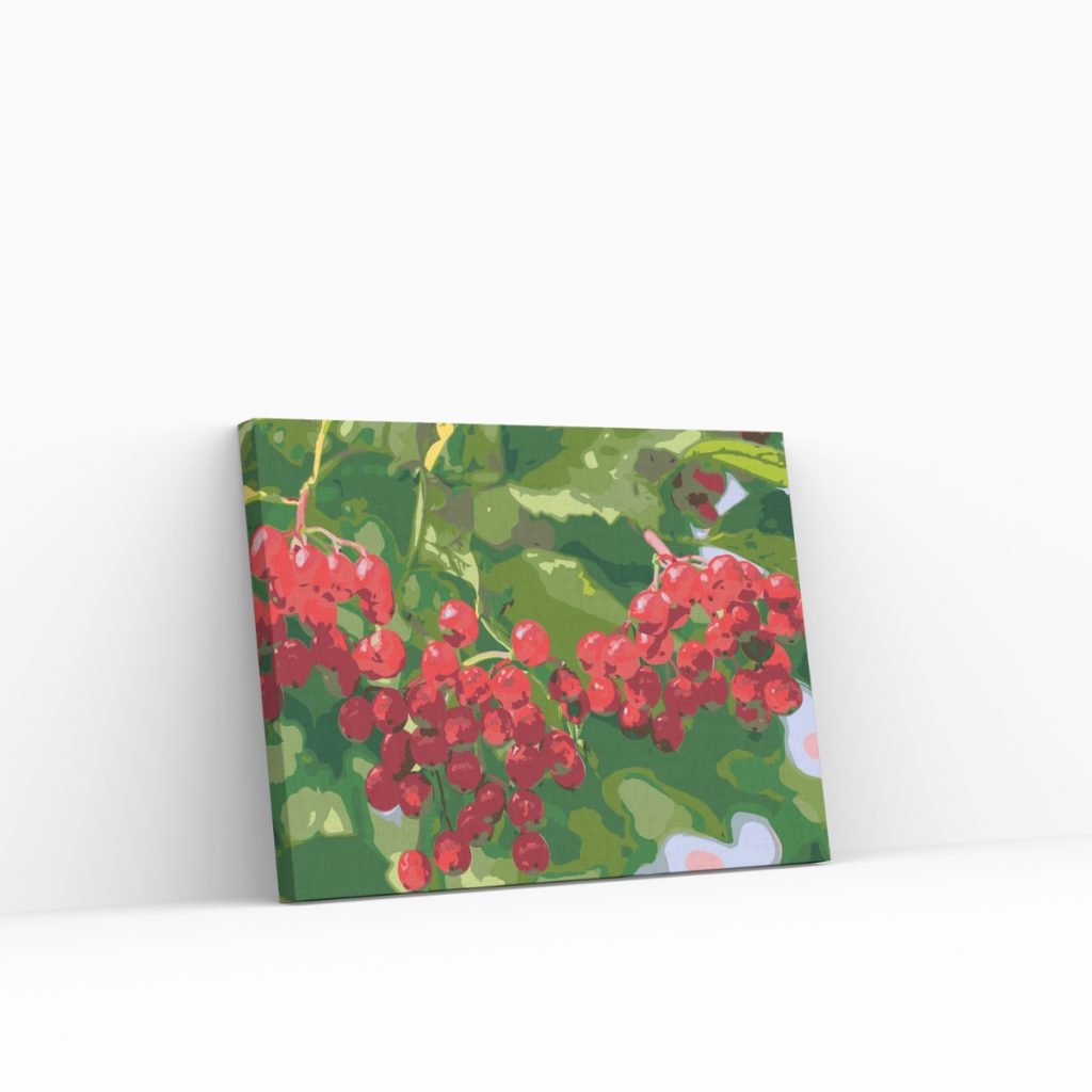Pintar por Números - Bayas en el árbol