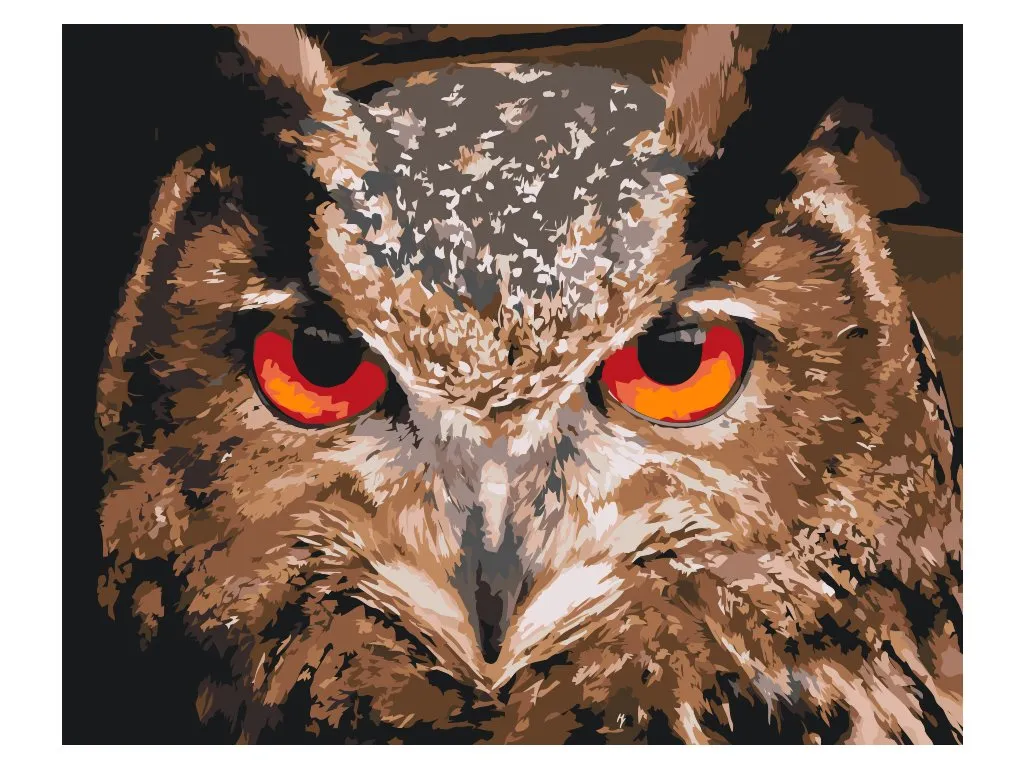 Pintar por Números - Búho 2