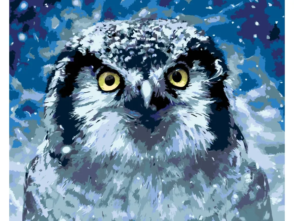 Pintar por Números - Búho