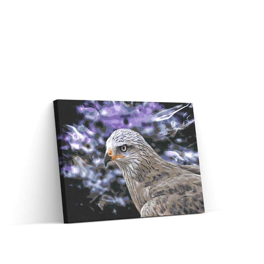 Pintar por Números - Sokol