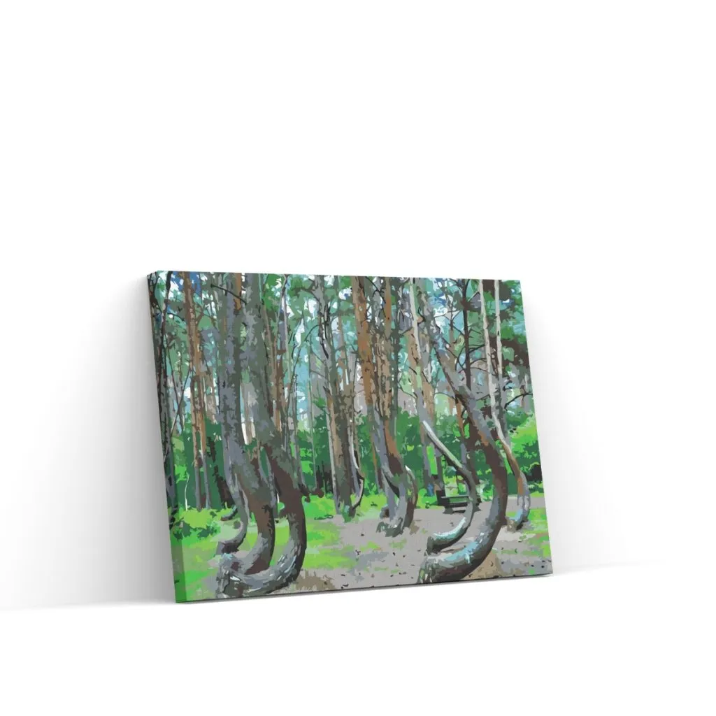 Pintar por Números - Bosque Torcido, Polonia